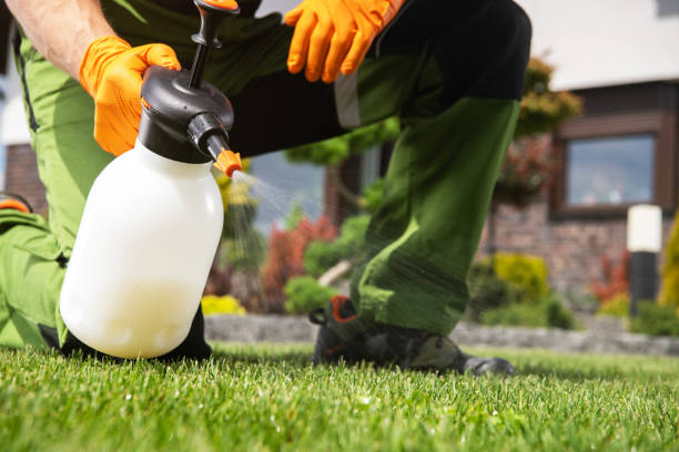 Trusted Mechanicsville, VA Pest Control Experts