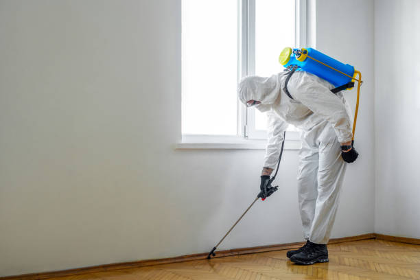 Best Wasp Removal Services  in Mechanicsville, VA