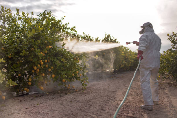 Best Pest Removal Services  in Mechanicsville, VA