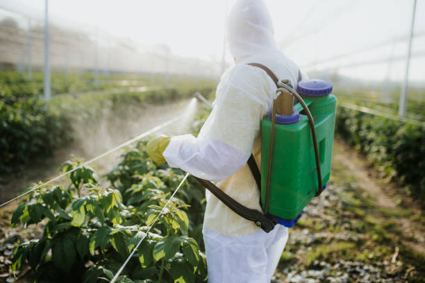 Best Insect Control  in Mechanicsville, VA